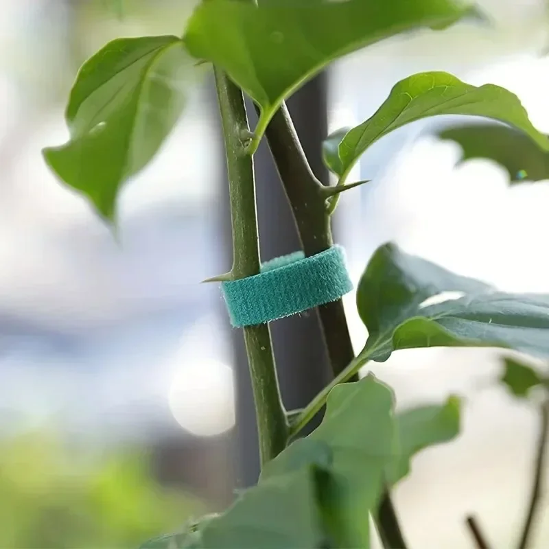 Auto adesivo planta cabo de ná - Gear Tie Reusable avaliação e preço